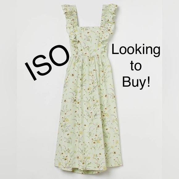 ISO H&M wildflower poplin dress - Picture 1 of 2